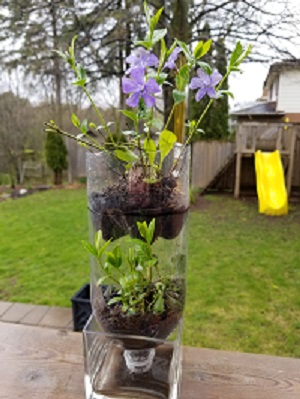Recycled planter example