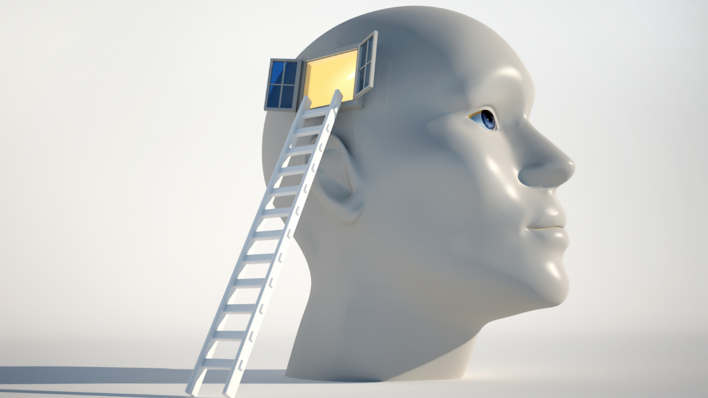 A model of a head, with a ladder towards the brain