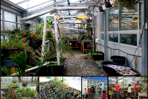 DMCI Greenhouse