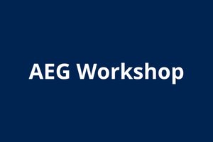 Graphic that reads "AEG Workshop."