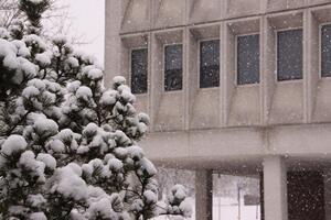 A concrete building in the background with a tree with snow in the foreground