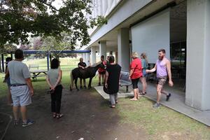 A group of students stand outside observing a horse.