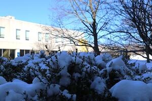 A bush covered in snow outside Duncan McArthur Hall in a courtyard.