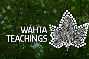 Graphic that reads Wahta Teachings with a white leaf in front of a background of trees outside.