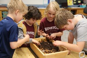 Students put their hands in dirt in a wooden box in a classroom.