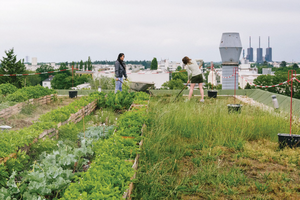 Two women use gardening equipment in an urban garden.