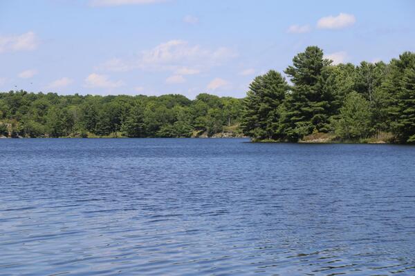 A view of water with trees across from the photographer.