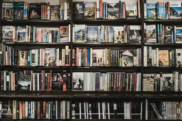 Bookshelves with lots of books, some covers facing out.