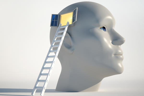 A model of a head, with a ladder towards the brain