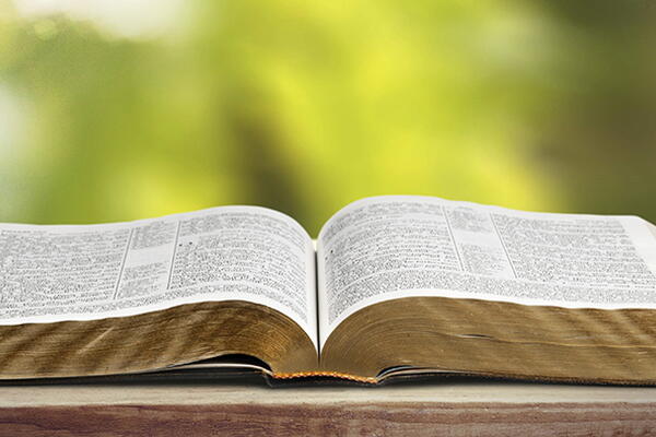 a picture of the bible