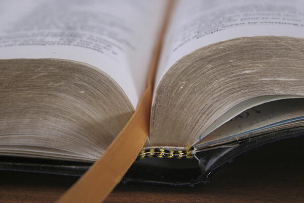 a picture of the bible