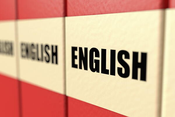 a group of english dictionaries