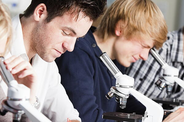 a group of students looking through microscopes