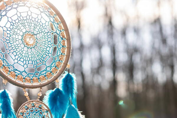 a picture of blue indigenous craft