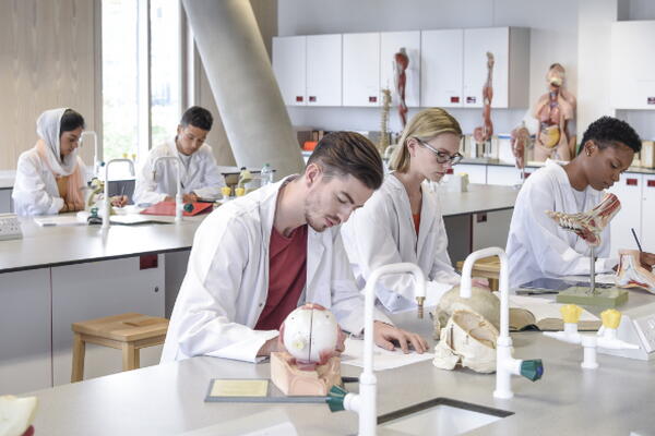 students working in a biology lab