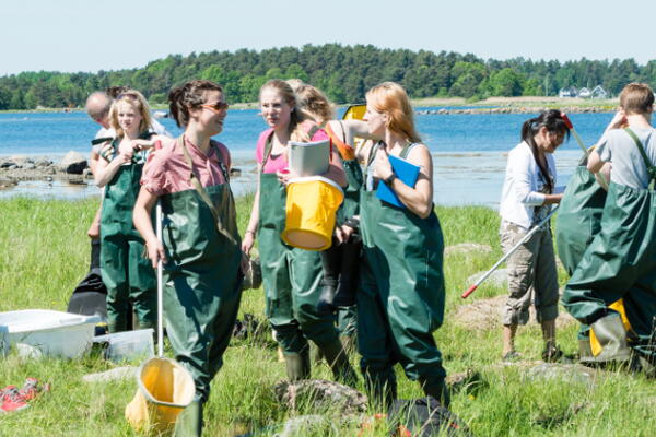 students working together to clean up a garden