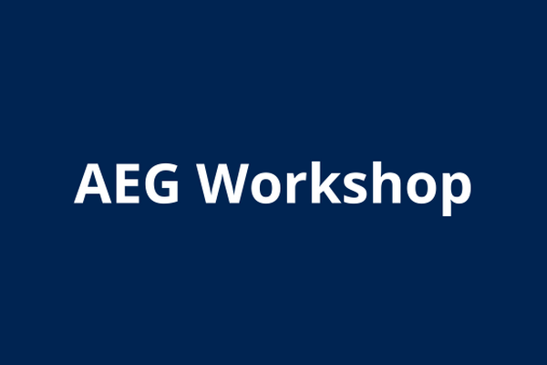 Graphic that reads "AEG Workshop."