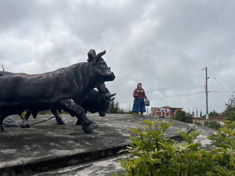 Bull statue and woman