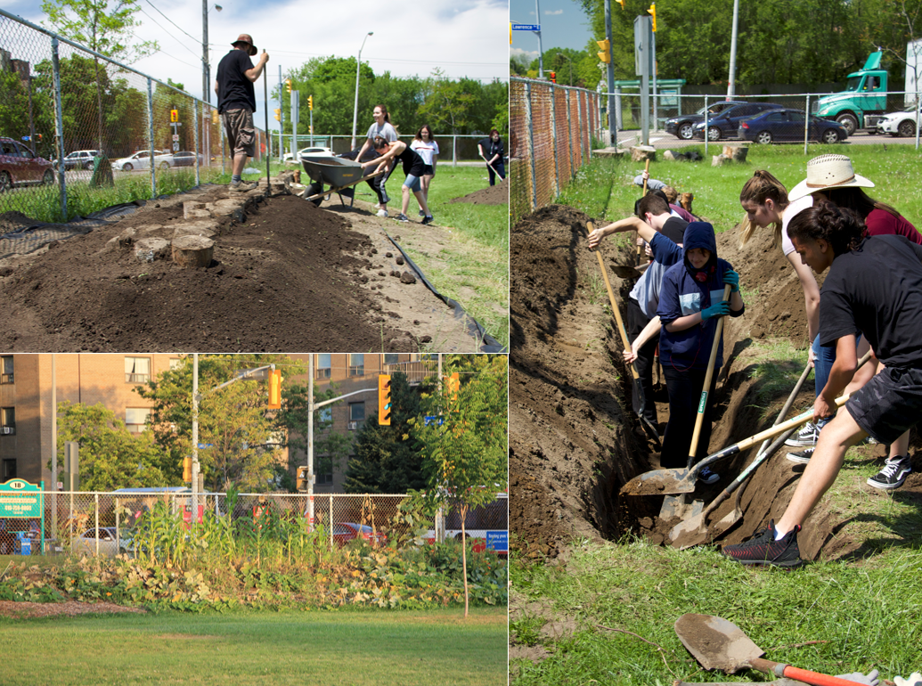 Students getting their hands in the dirt