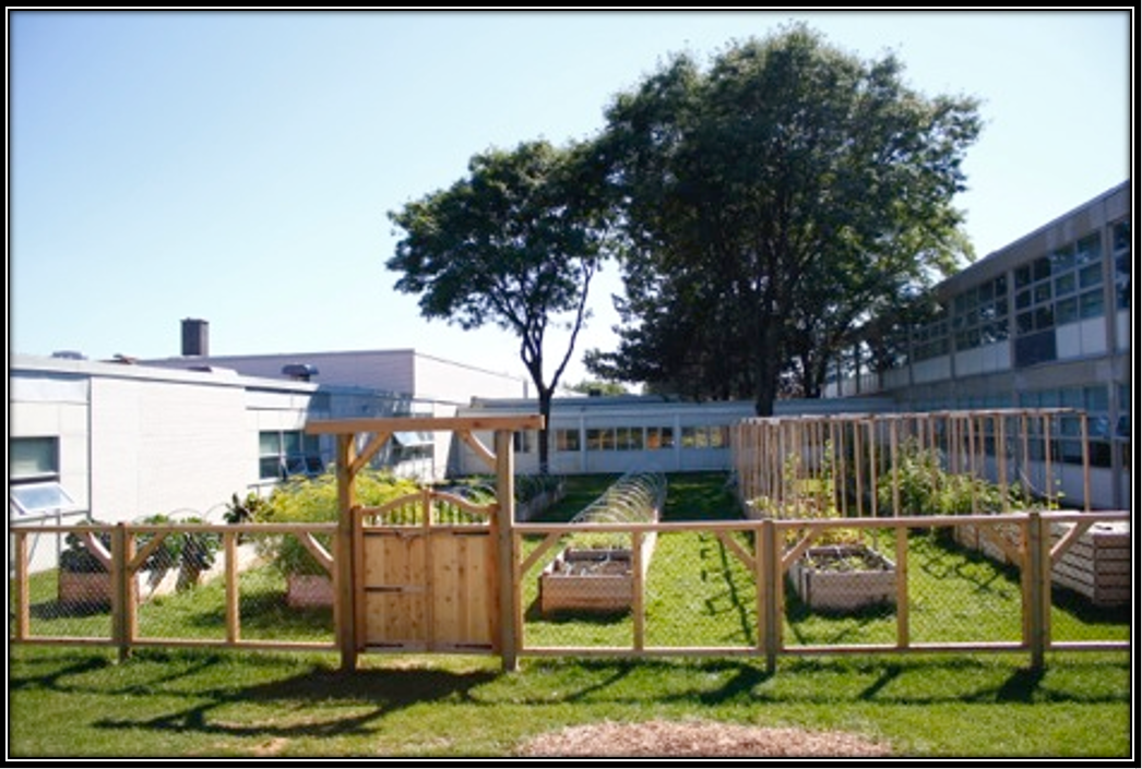 Don Mills CI Community Farm