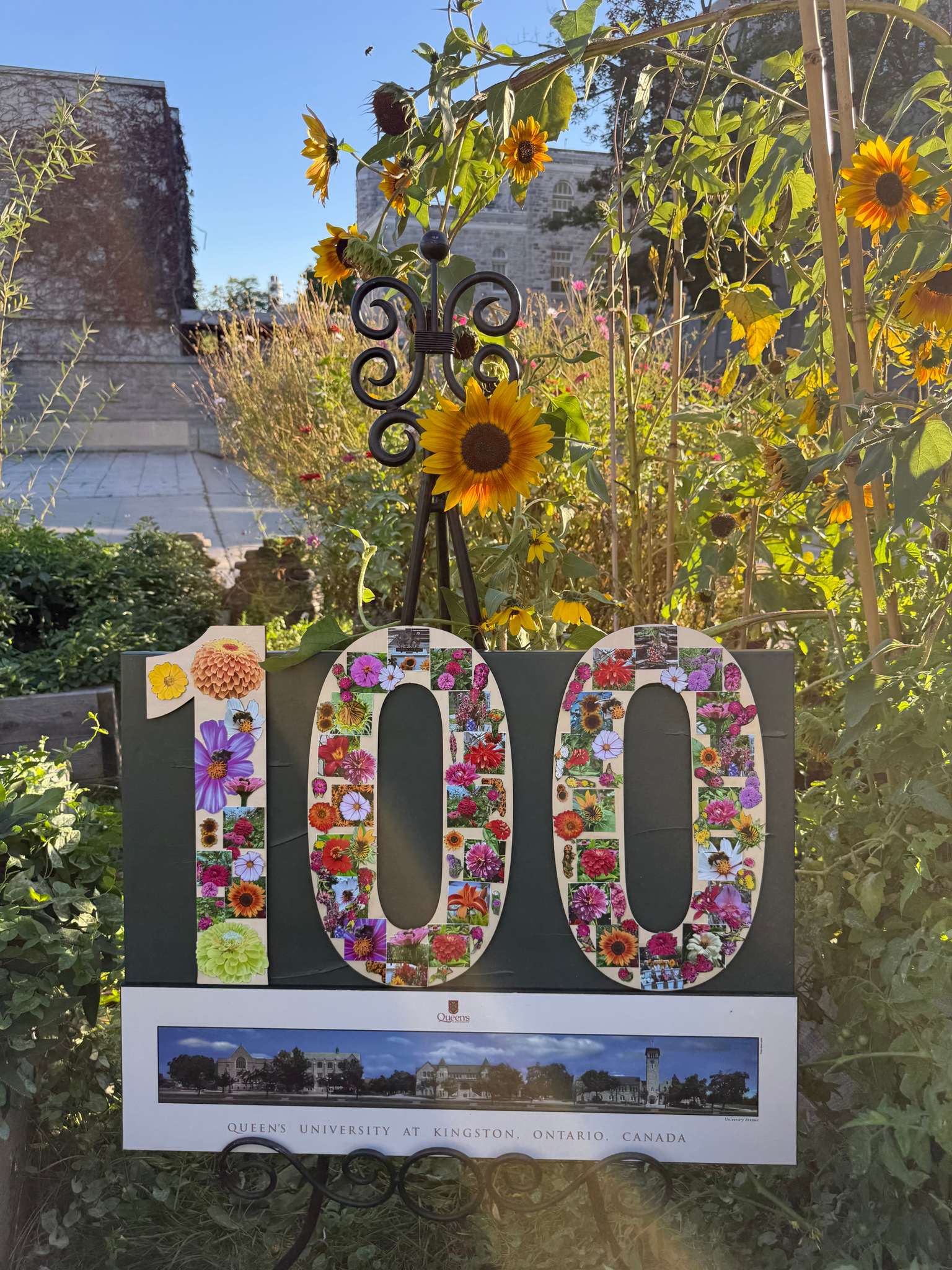 An art piece with the number 100 has photos of flowers within the numbers. There's a photo of Queen's campus below. The art is being held up on a stand in a garden.