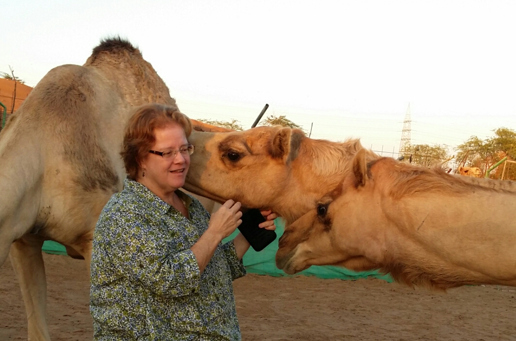 Sheri Henderson with a camel. She reaches out and holds the camels head and the camel reaches towards her.