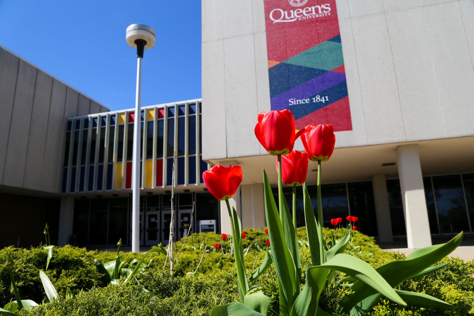 outside of Duncan McArthur Hall, with tulips in front
