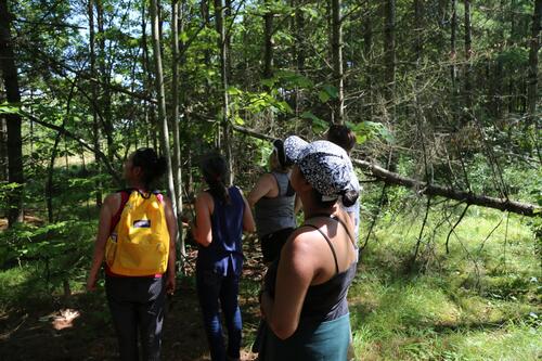 Students stand in a forest and look upwards to the sky while wearing backpacks.