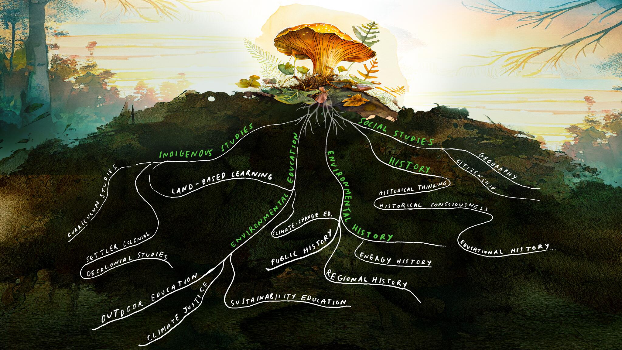 Mushroom on top with different ideas behind SsHEAN research group