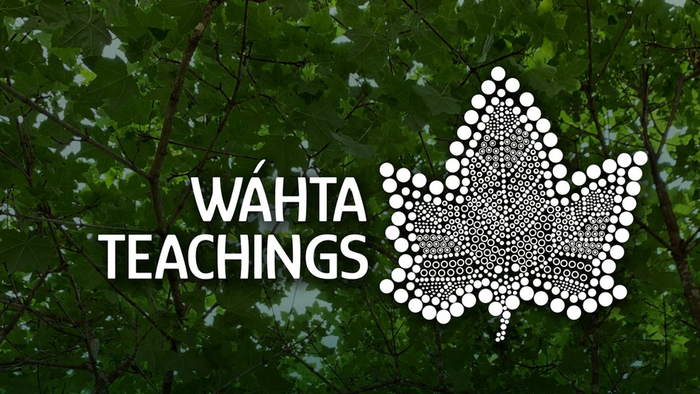 Graphic that reads "Wahta Teachings" with a white leaf in front of a background of trees.
