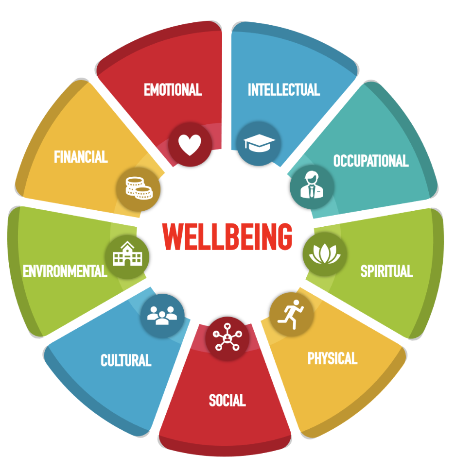 a chart depicting core factors of wellbeing