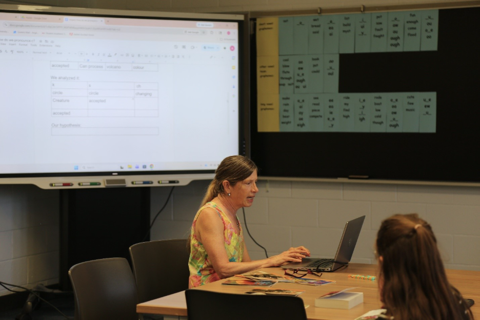 A professor teaching at the GAELS Learning Lab Project
